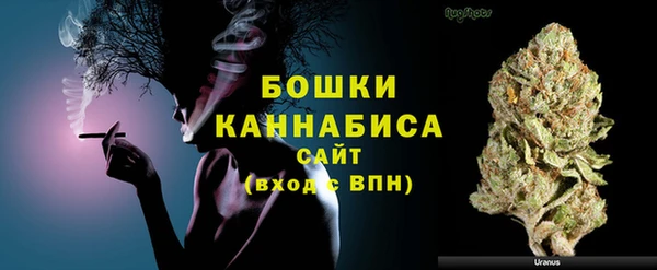 spice Аркадак