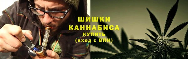 стафф Новокубанск