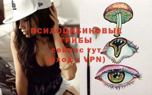 МДПВ Алексеевка