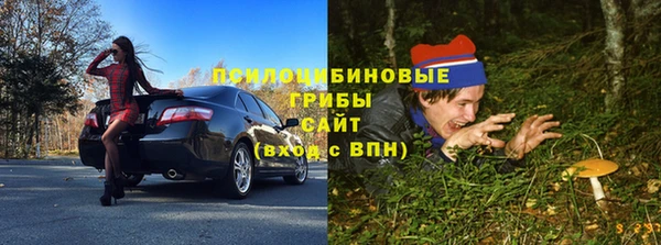 МДПВ Алексеевка